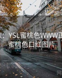 媒体聚焦：YSL蜜桃色WWW正在发酵，蜜桃色口红图片