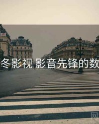 关于丁冬影视 影音先锋的数据报告