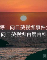 深度追踪：向日葵视频事件全记录，向日葵视频百度百科