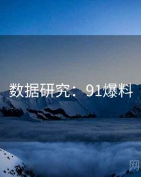 数据研究：91爆料