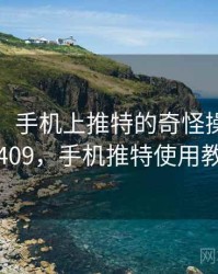 笑出声！手机上推特的奇怪操作 · 独家409，手机推特使用教程
