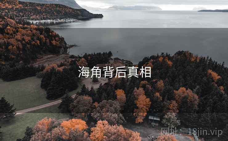 海角背后真相